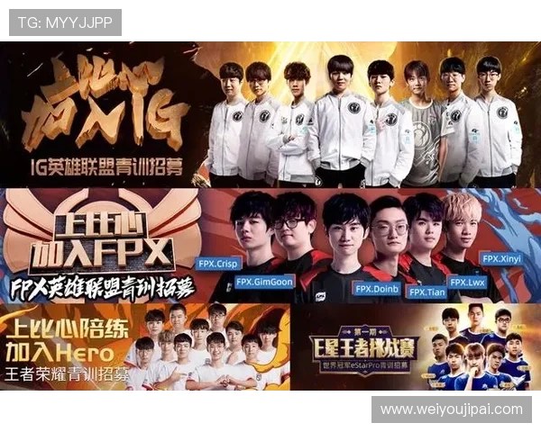 探讨FPX在王者荣耀中的团队配合与战术策略分析