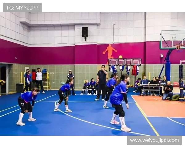 排球速度排行榜揭晓北京排球队荣获第四名佳绩引关注